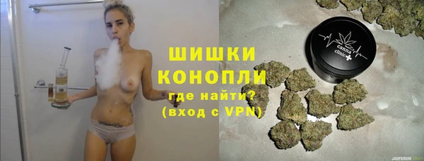 твердый Краснослободск