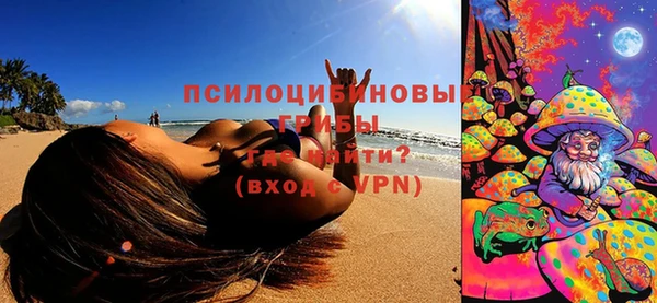 дмт Кулебаки