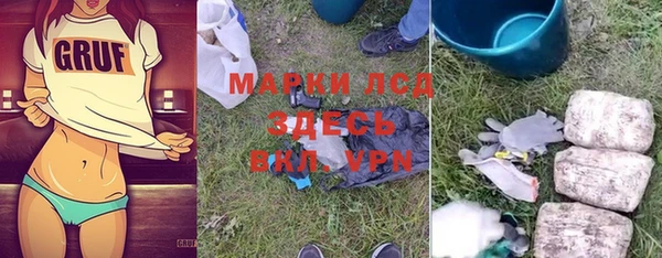 твердый Краснослободск