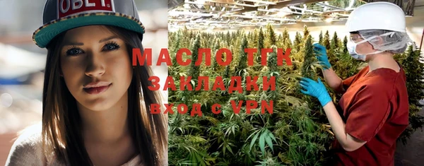 твердый Краснослободск
