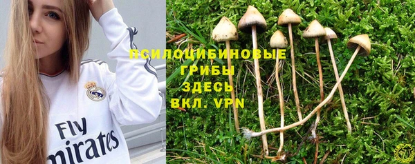 каннабис Куйбышев